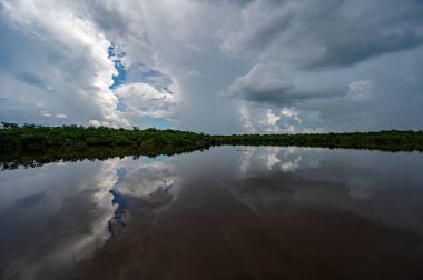Florida, Everglades Ulusal Parkı 'ndaki Amerikan Timsahı ile gölet üzerinde oluşan yaz fırtınası bulutları sakin sulara yansıyor..