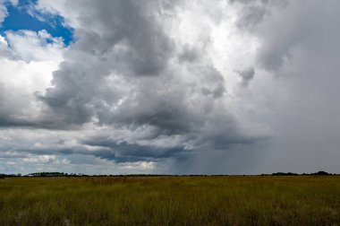 Florida, Everglades Ulusal Parkı 'ndaki Sawgrass Prairie üzerinde yaz fırtınası bulutları.
