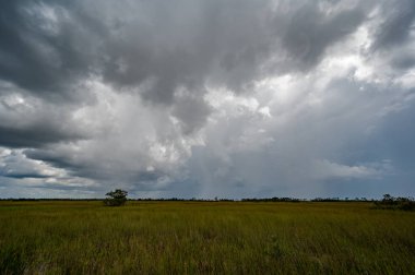 Florida, Everglades Ulusal Parkı 'ndaki Sawgrass Prairie üzerinde yaz fırtınası bulutları.