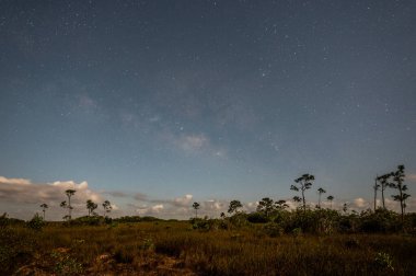 Everglades Ulusal Parkı, Florida 'nın çayırları ve çayırları üzerindeki Samanyolu. Ayın dörtte üçüyle aydınlanıyor..