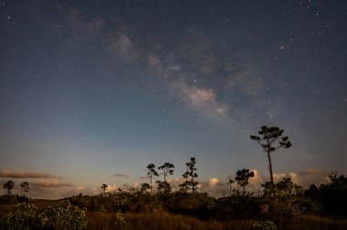 Everglades Ulusal Parkı, Florida 'nın çayırları ve çayırları üzerindeki Samanyolu. Ayın dörtte üçüyle aydınlanıyor..