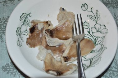 Ormanda sonbahar mevsiminde yağmur sonrası mantar toplama