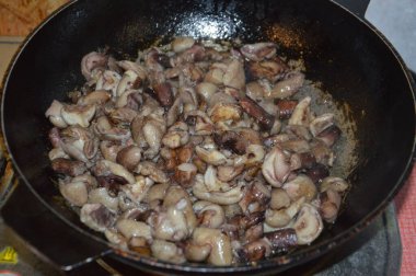 Ormanda sonbahar mevsiminde yağmur sonrası mantar toplama