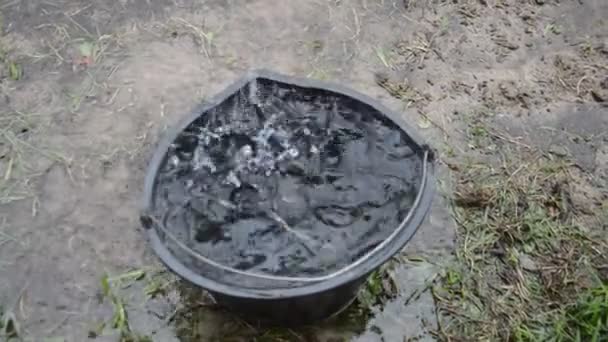 Gotas Chuva Pingam Através Dreno Telhado Para Balde — Vídeo de Stock