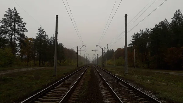 Demiryolu Rayları Perspektife Giriyor — Stok fotoğraf