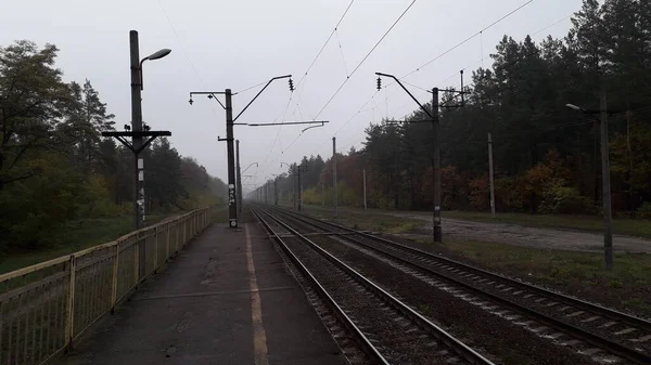 鉄道線路は視点に入る — ストック写真