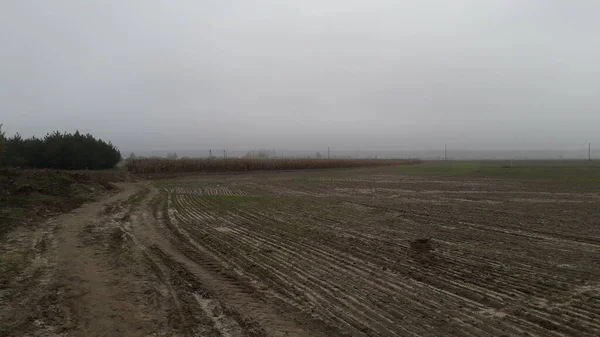 Herfst Veld Landschap Een Het Dorp — Stockfoto