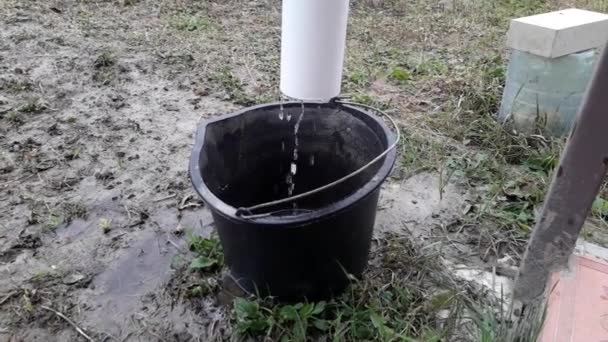 Water Drips Drain Rain — Stock Video