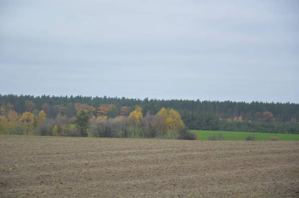 Landscape Autumn Harvested Field Village — Stock Photo, Image