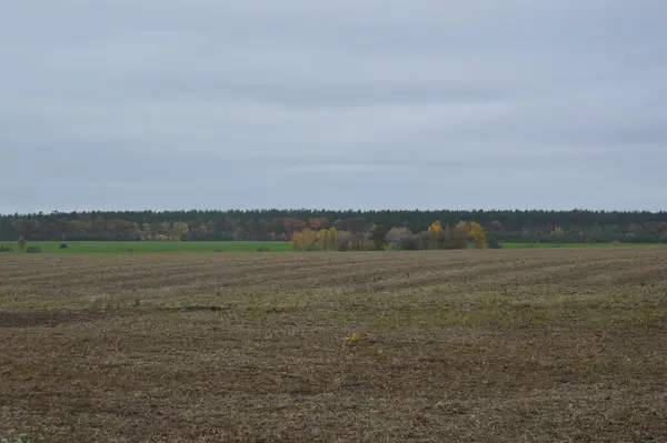 Landscape Autumn Harvested Field Village — Stock Photo, Image