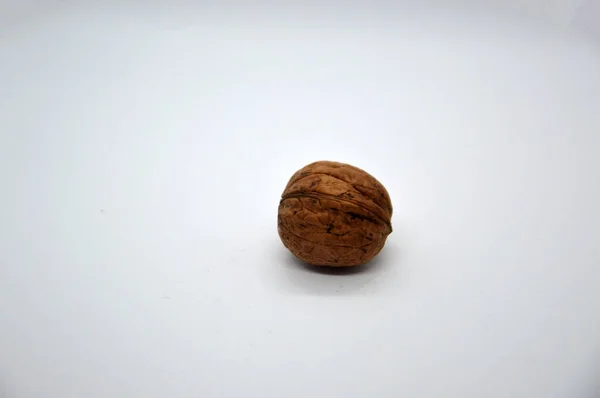 Edible Dried Walnut White Background — Stock Photo, Image