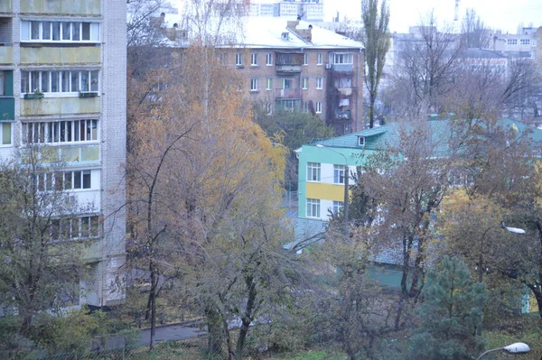Осенние Деревья Желтыми Листьями Городе — стоковое фото