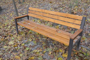 Bir sonbahar parkında yeşillik ve küçük mimari biçimler.