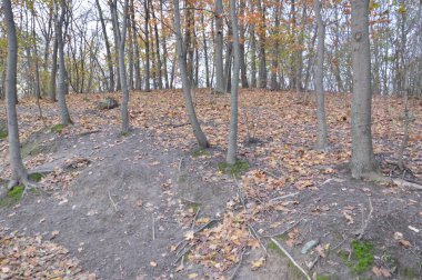 Bir sonbahar parkında yeşillik ve küçük mimari biçimler.