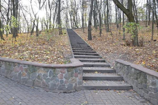 Follaje Pequeñas Formas Arquitectónicas Parque Otoño — Foto de Stock