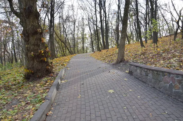 Follaje Pequeñas Formas Arquitectónicas Parque Otoño — Foto de Stock