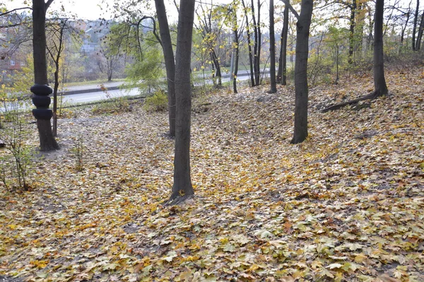 Folhagem Pequenas Formas Arquitetônicas Parque Outono — Fotografia de Stock