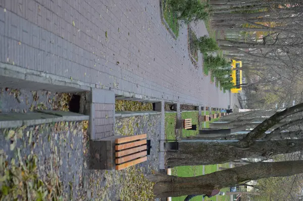 Loof Kleine Architectonische Vormen Een Herfstpark — Stockfoto