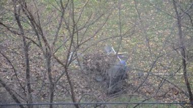 Bahçedeki yaprakları temizleyen yaşlı kadın.