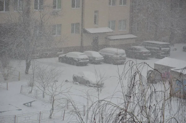 Der Erste Schnee Des Winters Fiel Der Stadt — Stockfoto