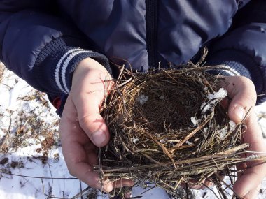 Kışın ormanda bir kuş yuvası buldum.