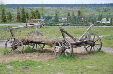 Tarımda mal taşımak için eski ahşap el arabası.