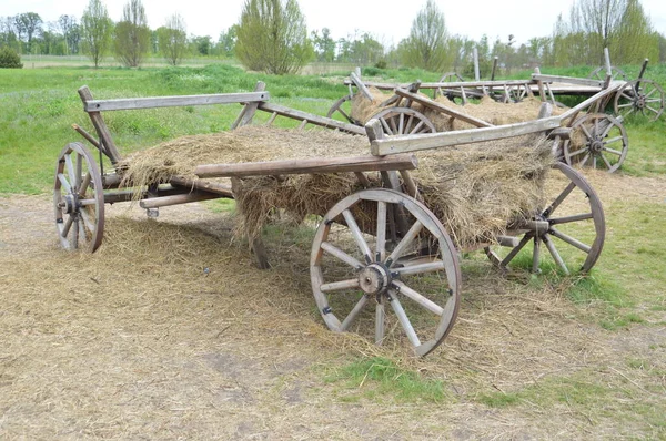 Old Wooden Cart Transporting Goods Agriculture — Stock Photo, Image