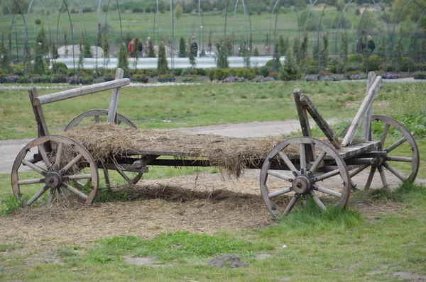 Old Wooden Cart Transporting Goods Agriculture — Stock Photo, Image