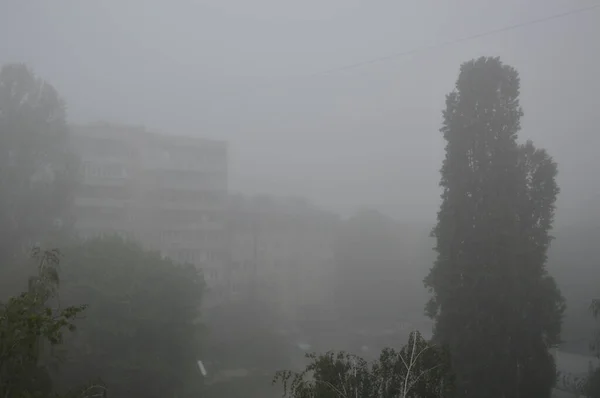 Early Morning Fog City — Stock Photo, Image