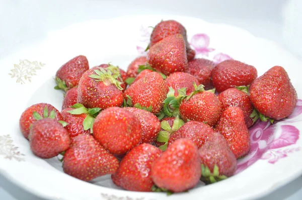 Vroeg Het Voorjaar Liggen Aardbeien Een Schotel — Stockfoto