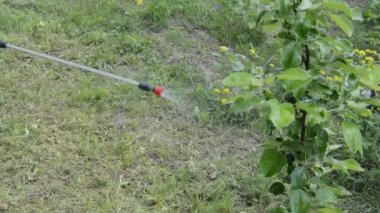 El spreyi ile bitki koruma ürünleri sıkmak.