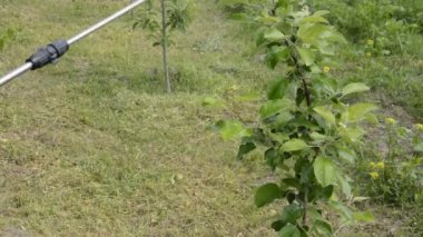 El spreyi ile bitki koruma ürünleri sıkmak.