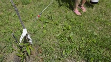 El spreyi ile bitki koruma ürünleri sıkmak.