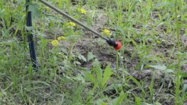 El spreyi ile bitki koruma ürünleri sıkmak.