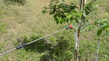 El spreyi ile bitki koruma ürünleri sıkmak.