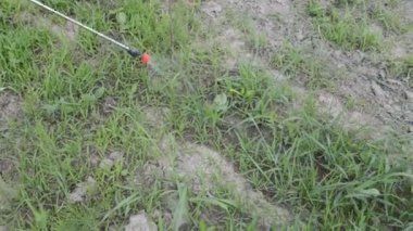 El spreyi ile bitki koruma ürünleri sıkmak.