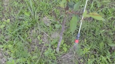 El spreyi ile bitki koruma ürünleri sıkmak.