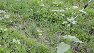 El spreyi ile bitki koruma ürünleri sıkmak.