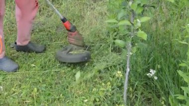 Çim biçme makinesiyle çimen biçme