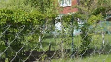 Bölgeyi çitlemek için örülü ağ örülmüş.