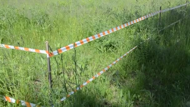 Grensband Van Het Gebied Zwaait Wind — Stockvideo