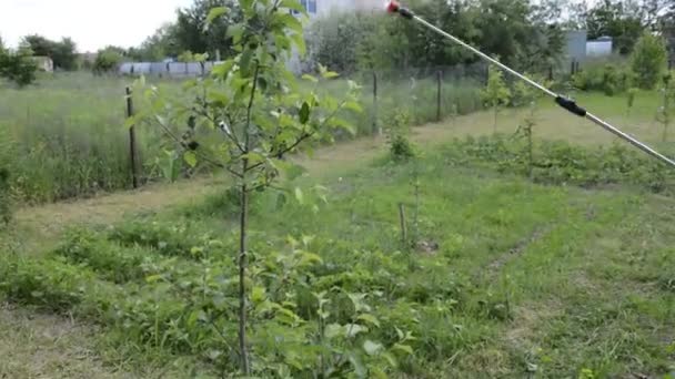 Sprühen Mit Pflanzenschutzmitteln Mit Der Handsprühpistole — Stockvideo