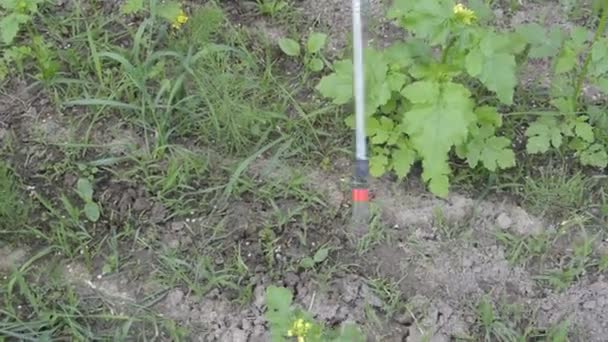 Sprühen Mit Pflanzenschutzmitteln Mit Der Handsprühpistole — Stockvideo