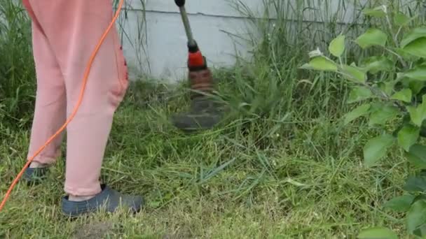 Gras Gazon Maaien Met Een Handtrimmer — Stockvideo