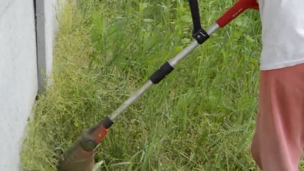 Klippa Gräs Och Gräsmatta Med Hand Trimmer — Stockvideo