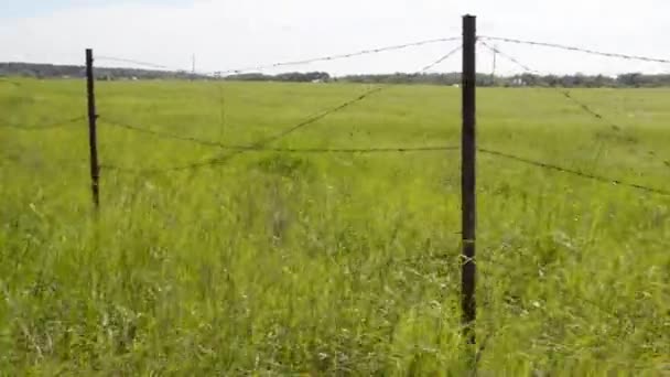 Stacheldrahtzaun Zur Einzäunung Eines Schutzgebietes — Stockvideo