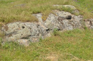 Ancient large stones in a the field