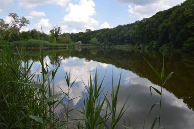 Panorama of a picturesque a lake
