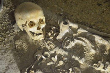 Ancient skeletons lie on a the shelf in the interior