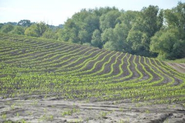 A plowed field in a the hills